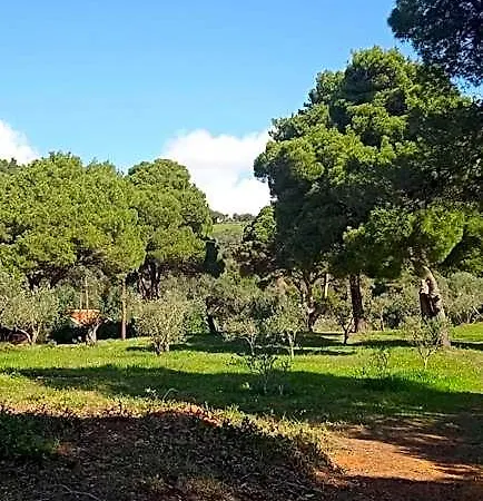 Innjoy Space 3* Πέλεκας